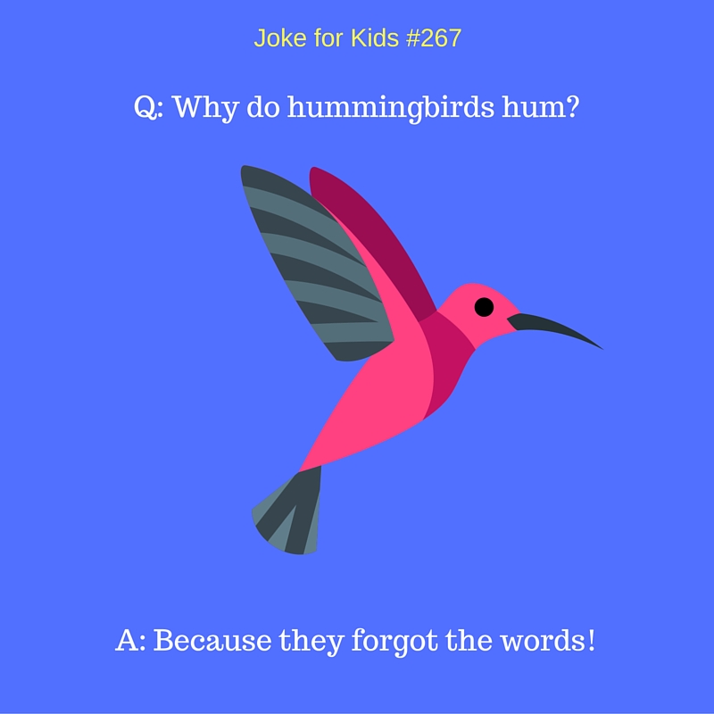 Hummingbird #267_singleuse