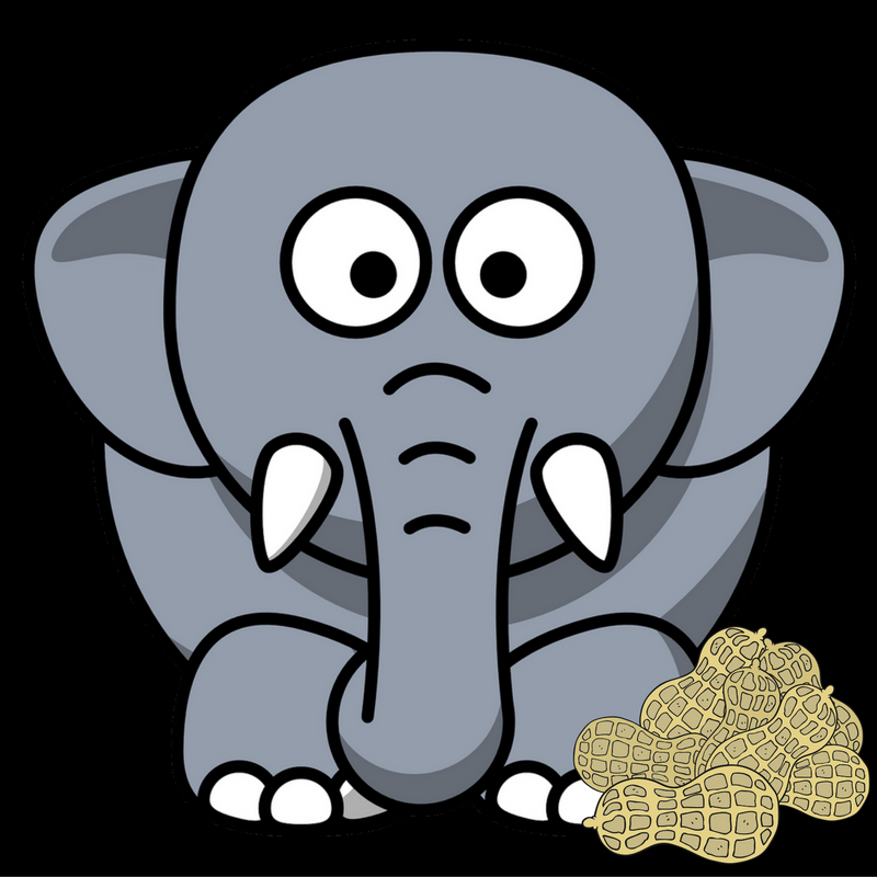 274_ElephantPeanuts_singleuse