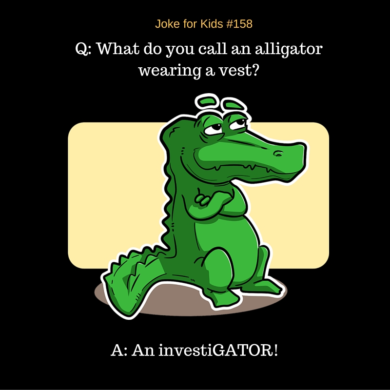 Alligator #158